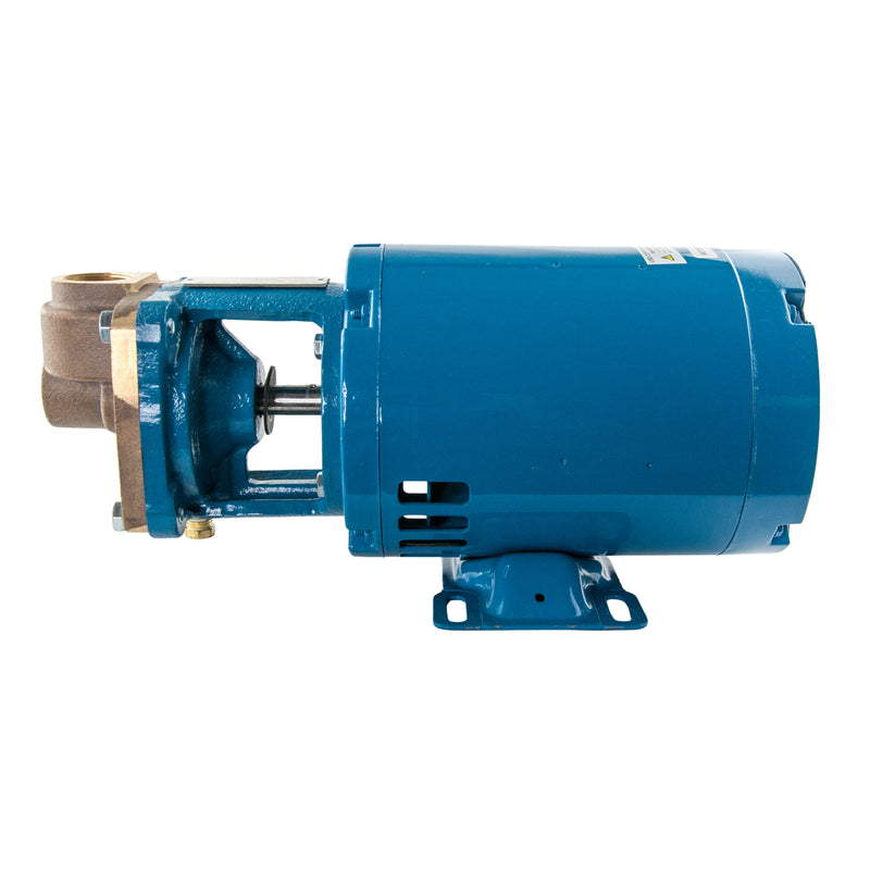 Burks® 3CT5M 1/3HP Water Condensate Turbine Boiler Feed 115/208-230V 1-Phase