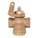 Duco® DPV14F Bronze Steam Whistle Valve